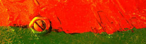 Anna's logo